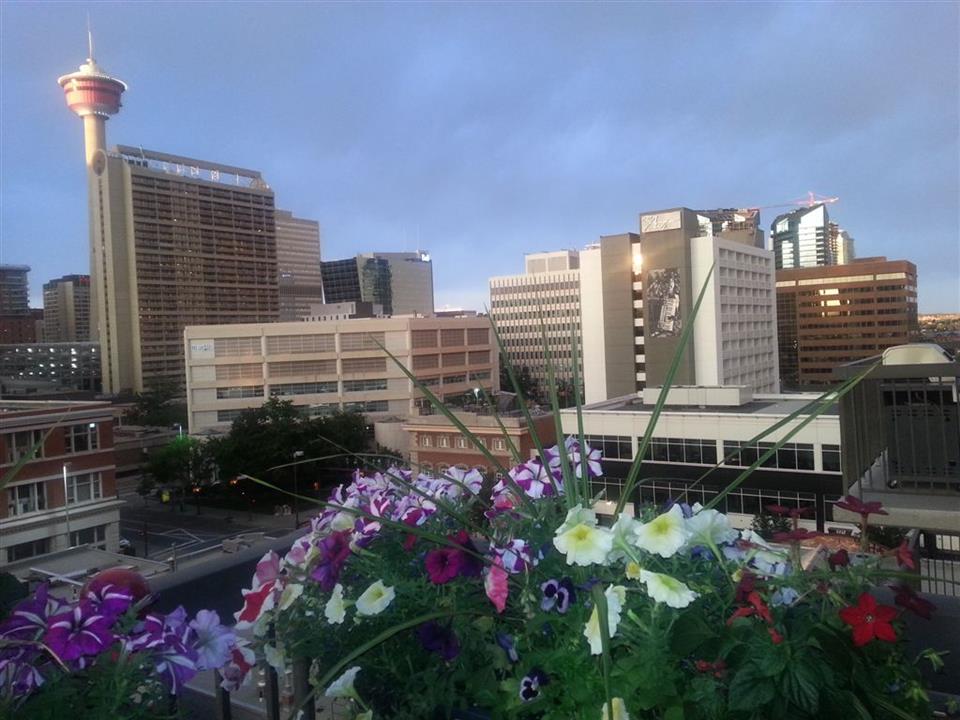 Downtown view2